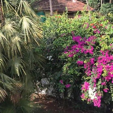 1 Bhk Luxury Beachside Homestay In South Goa 贝托贝提姆 外观 照片